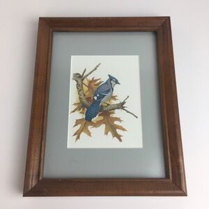 Blue Jay Bird on Autumn Tree Branch Print Matted Wooden Frame 7x9